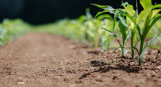 Landwirtschaft und Klimawandel/Projekt
