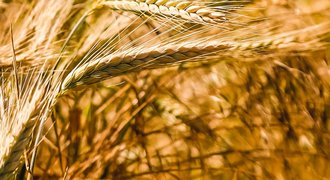 Neue Wege im Ackerbau/Projekt