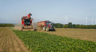 Versteckte Kosten des Ernährungssystems/Projekt